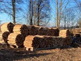 Brennholz Brennholz Buche Mühlviertler Buchenholz