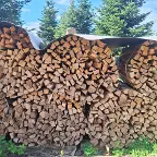 Brennholz Eiche, Buche Kobersdorf