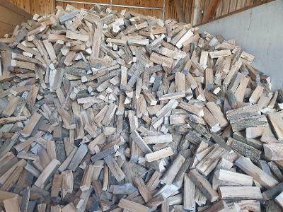 Brennholz Esche, Buche