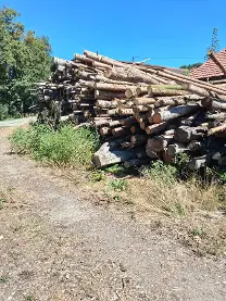 Rundholz Rundholz Fichte