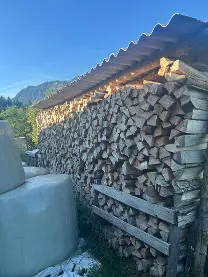 Brennholz Brennholz Fichte, Esche, Buche