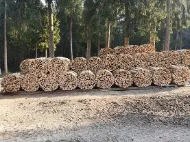 Brennholz Brennholz Buche