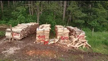 Brennholz Brennholz Buche