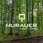 ad Murauer Forstpflanzen