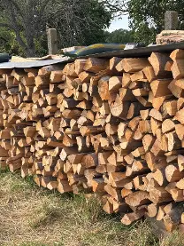 Brennholz Brennholz Buche