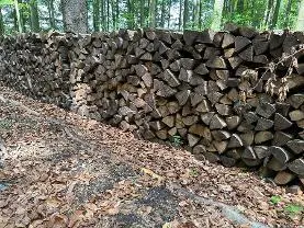 Brennholz Brennholz Buche
