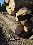 Rundholz Eiche Gampern