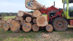 Rundholz Tanne Z..t. Astrein Durlangen