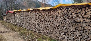 Brennholz Buche Zell