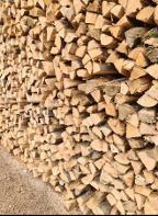 Brennholz Esche, Eiche, Buche Längen 25, 33 oder 50cm