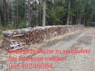 Brennholz Buche Verkaufe Buchenbrennholz