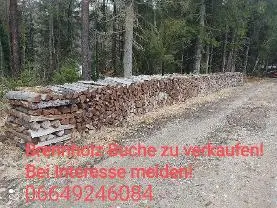 Brennholz Brennholz Buche Verkaufe Buchenbrennholz