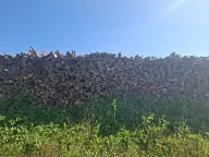 Brennholz Buche Weißenkirchen in der Wachau