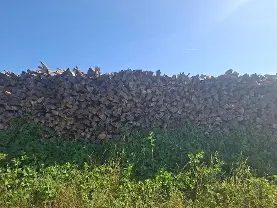 Brennholz Brennholz Buche