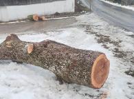 Rundholz Esche Hofstetten