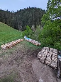 Brennholz Brennholz Fichte, Esche, Buche rein oder gemischt verfügbar