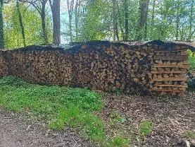 Brennholz Brennholz Esche