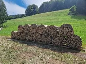 Brennholz Brennholz Esche