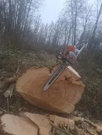 Dienstleistung EMH Holzschlägerungen