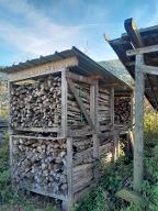 Brennholz Fichte, Esche