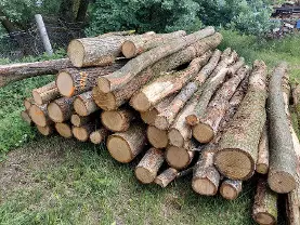 Brennholz Brennholz Eiche