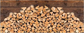 Brennholz Buche Rein