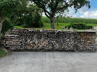 Brennholz Esche, Buche