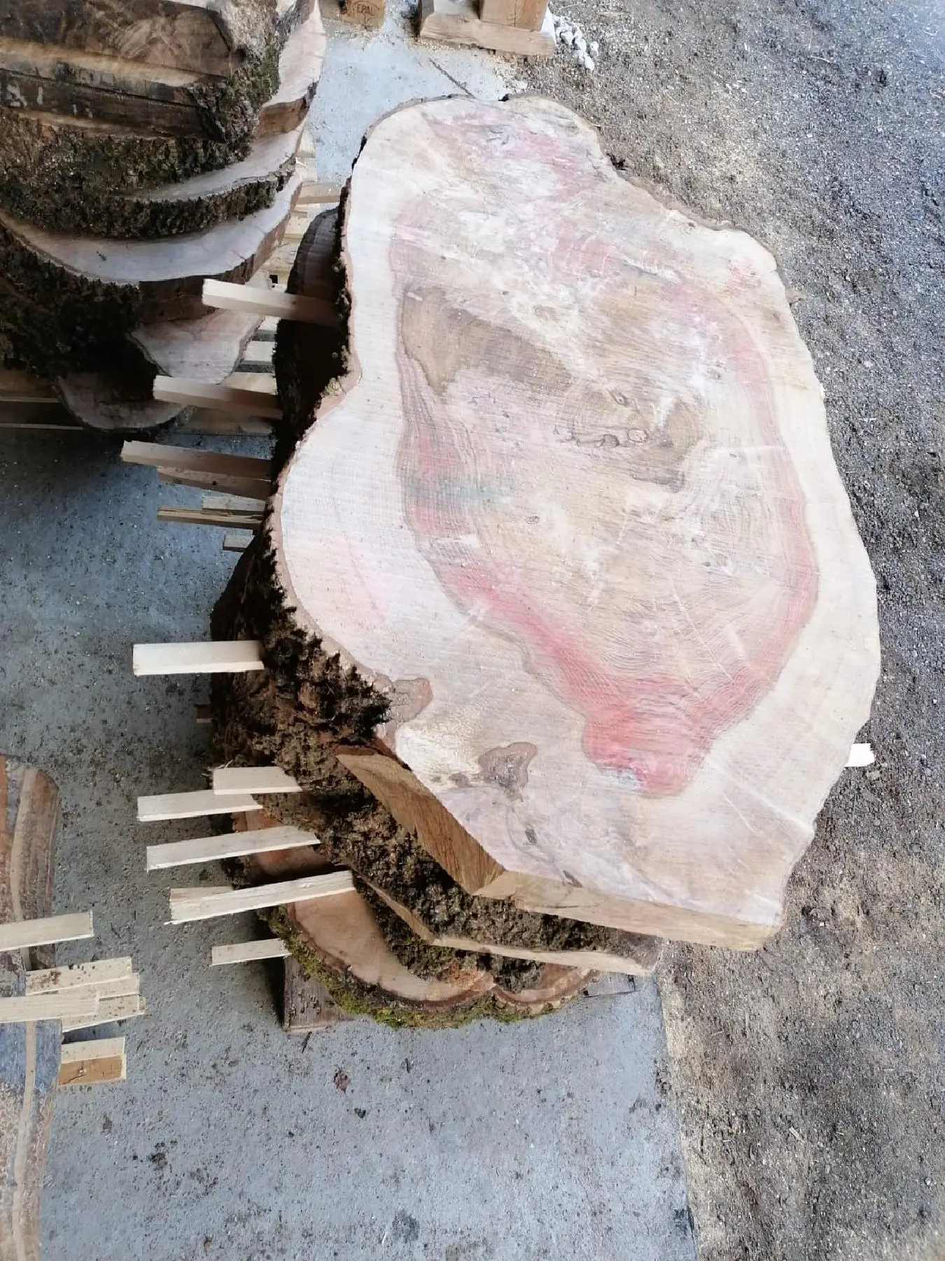 Holzprodukte Eschen Scheiben - holzquelle