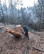 Lukas (Holzbearbeitungsmaschinen, Forstliche Beratung & Planung, sonstige forstliche Dienstleistung, Holzernte & Rückung, Baumabtragung/-pflege) St. Konrad