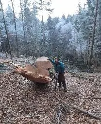 Dienstleistung Lukas