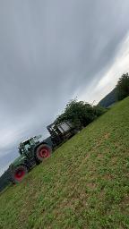 Dienstleistung Aichinger Forst & Landschaft (Aufforstung, Forstliche Beratung & Planung, Holzernte & Rückung, Baumabtragung/-pflege, Jungwaldpflege, Brennholz: Produktion/Handel)
