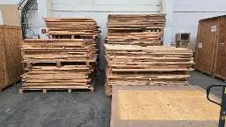 IPPC-Holz aus Übersee-Transportkisten Berlin Alt-Hohenschönhausen