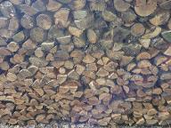 Brennholz Douglasie, Fichte, Tanne