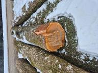 Rundholz Kirsche Weißenkirchen im Attergau