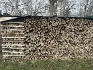 Brennholz Esche Ferschnitz