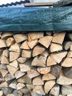 Brennholz Esche, Buche Trocken