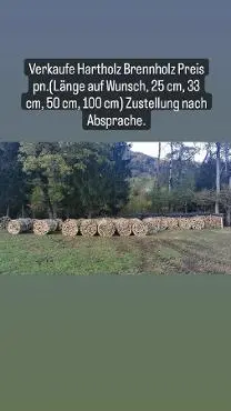 Brennholz Brennholz Esche, Buche