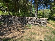 Brennholz Esche Friedberg