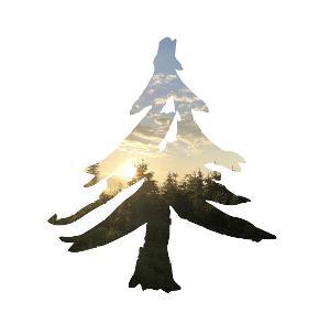 ad Lass deinen Wald für dich arbeiten