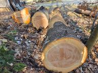 Rundholz Vogelbeere Söchau 