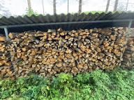 Brennholz Eiche, Buche