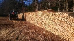 Brennholz Esche, Buche