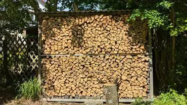 Brennholz Brennholz Esche, Buche 33cm Brennholz frisch, Buche/Esche gehackt