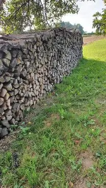 Brennholz Brennholz Birke
