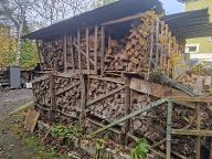 Brennholz Buche