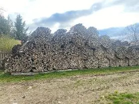 Brennholz Brennholz Esche, Eiche, Buche