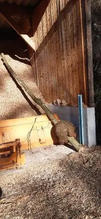 Holzprodukte Buche