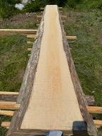 Schnittholz Buche - Nr. 24035