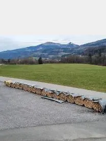 Brennholz Brennholz Esche, Buche