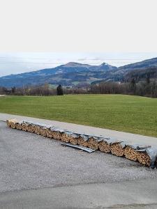Brennholz Esche, Buche